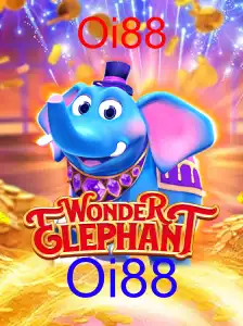 WonderElephant